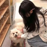 靴子米奇修改版下载